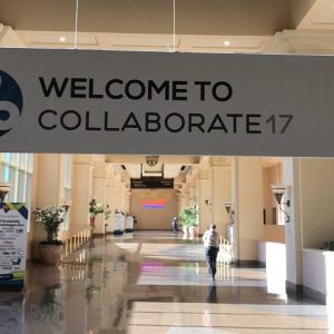 My thoughts on COLLABORATE 17